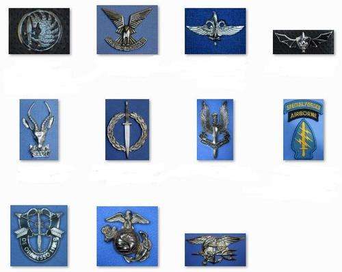 Special Forces & Other Insignia Set