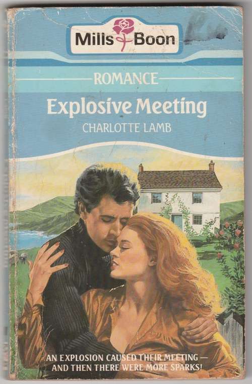 Mills and Boon - Explosive Meeting - Charlotte Lamb