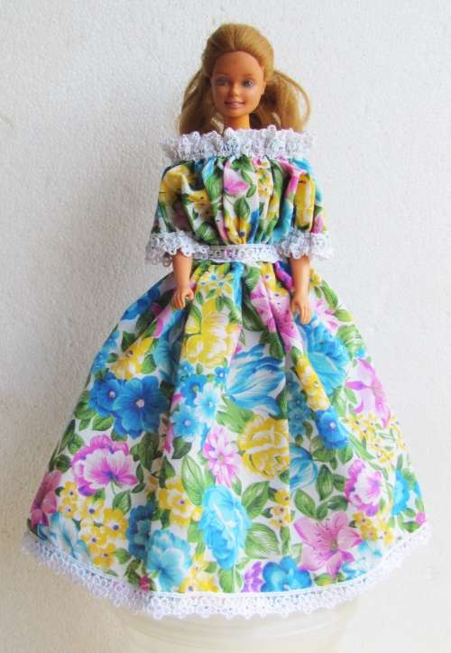 Fashion Dolls ( Barbie etc ) Long Period Dress