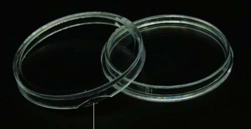 20mm Coin Capsules. Fit 1/4d.