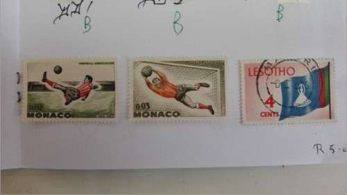 selection Monaco Mint sport thematic