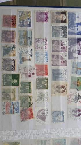 selection brazil