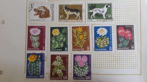 selection page Bulgaria incl cactus set