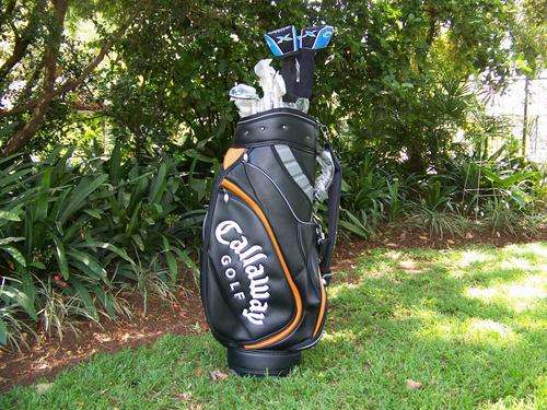 Callaway Big Bertha series 460.