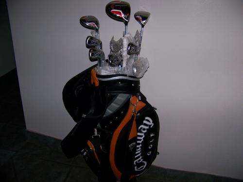 Callaway Big Bertha series 460.