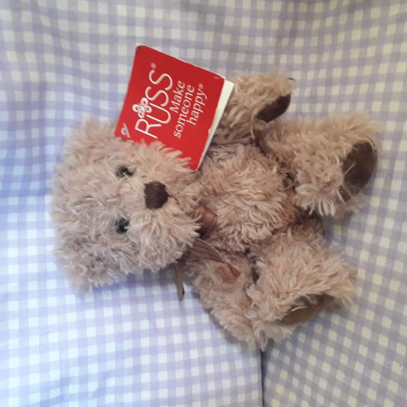 Russ Teddy