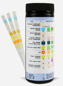 URINE DIPSTICK 10-T plus Alcohol swabs
