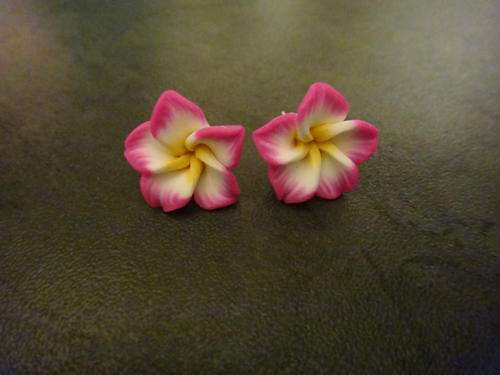 Pink Flowers