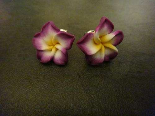 Purple Flowers