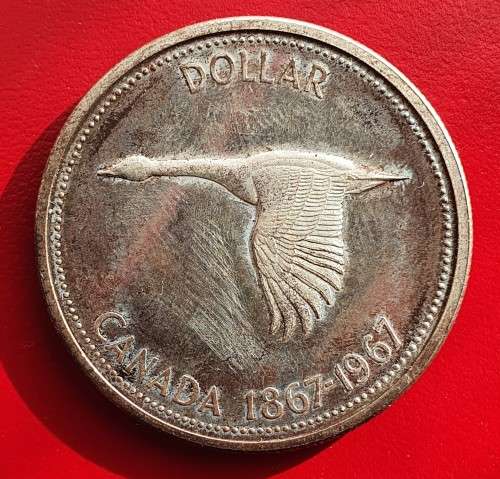 Canadian one dollar