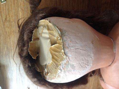 Large Vintage Doll