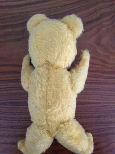 Ark Bear