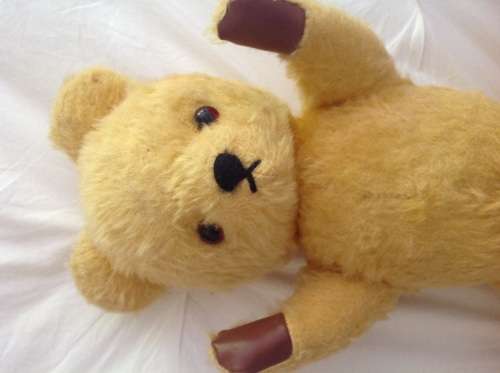 Ark Bear