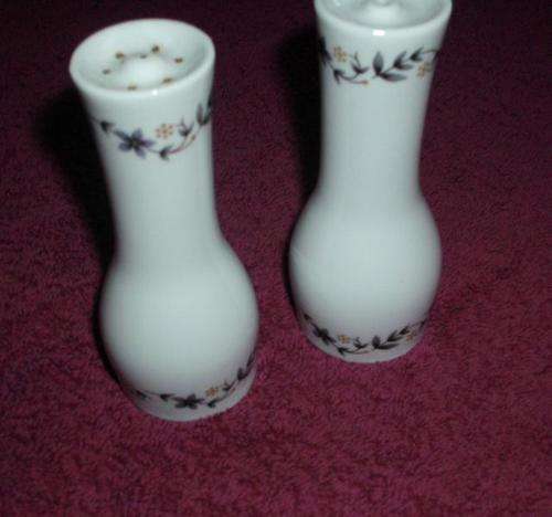 Royal Worcester Salt and Pepper Pots