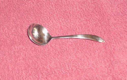 Stainless Steel Sauce Spoon