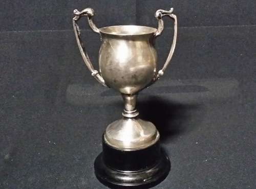 PLATED TROPHY CUP