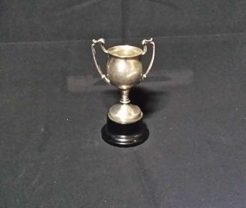 PLATED TROPHY CUP