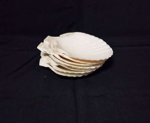 SET OF FIVE SHELL  HOR D'OEUVRE SERVING DISHES