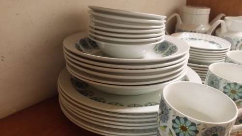 41 PIECE PONTESA  SPAIN VINTAGE  DINNER SET AND TEA SET  / COLLECTION IN EDENVALE ONLY