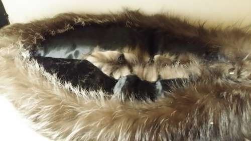 NATURAL GENUINE FUR SCARF / BUTTON COLLAR 42 CM