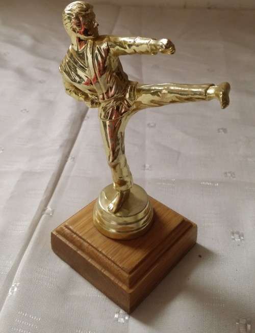 MARTIAL ARTS TROPHY