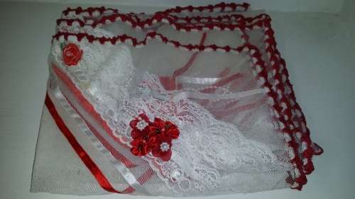Cover Net Cloth  with red crochet edge  flowers and lace