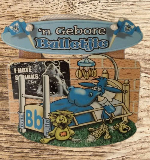 Rugby blou bul gebore bulletjie plaque 26 cm