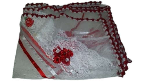 Cover Net Cloth  with red crochet edge  flowers and lace