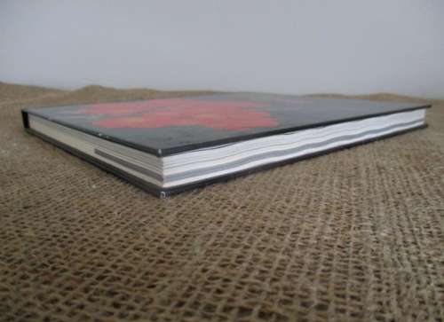 A Magnificant Book..... Clivia Nature and Nuture  D Swanevelder & R Fisher  Hardcover  First Edition