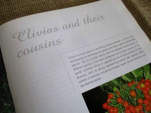 A Magnificant Book..... Clivia Nature and Nuture  D Swanevelder & R Fisher  Hardcover  First Edition