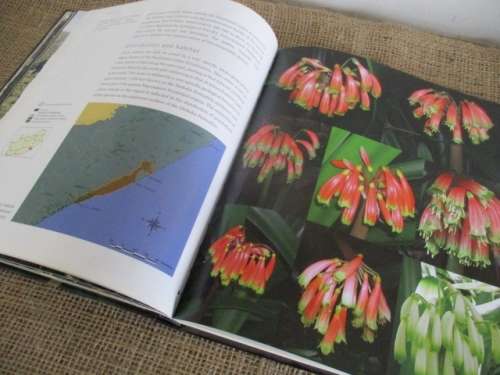 A Magnificant Book..... Clivia Nature and Nuture  D Swanevelder & R Fisher  Hardcover  First Edition