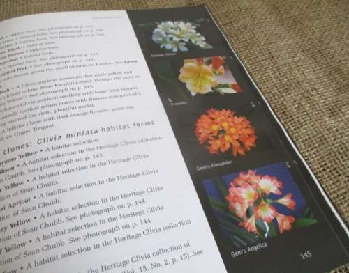 A Magnificant Book..... Clivia Nature and Nuture  D Swanevelder & R Fisher  Hardcover  First Edition