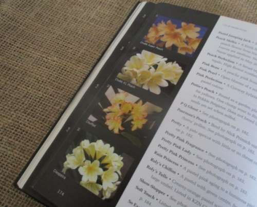 A Magnificant Book..... Clivia Nature and Nuture  D Swanevelder & R Fisher  Hardcover  First Edition