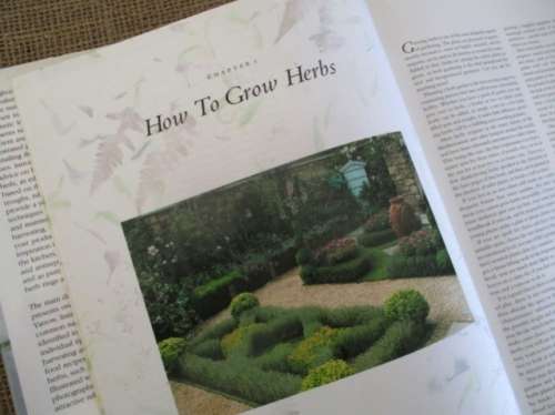 The Herb Handbook by Pamela Westland  A Lavish Illstrated Guide To Growing, Harvesting & Using Herbs