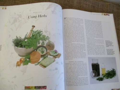 The Herb Handbook by Pamela Westland  A Lavish Illstrated Guide To Growing, Harvesting & Using Herbs