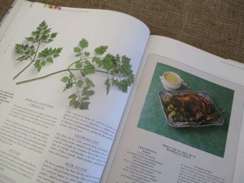 The Herb Handbook by Pamela Westland  A Lavish Illstrated Guide To Growing, Harvesting & Using Herbs
