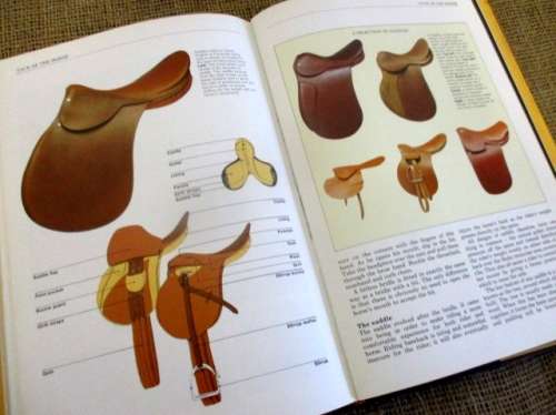 Some Antique Horse Maintenance Tools Early 1900's & "The Rider's Handbook" By Sally Gordon 1981