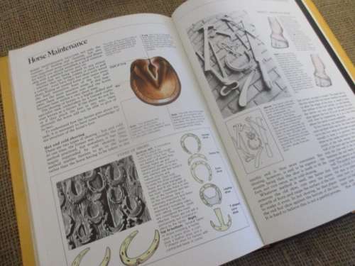 Some Antique Horse Maintenance Tools Early 1900's & "The Rider's Handbook" By Sally Gordon 1981