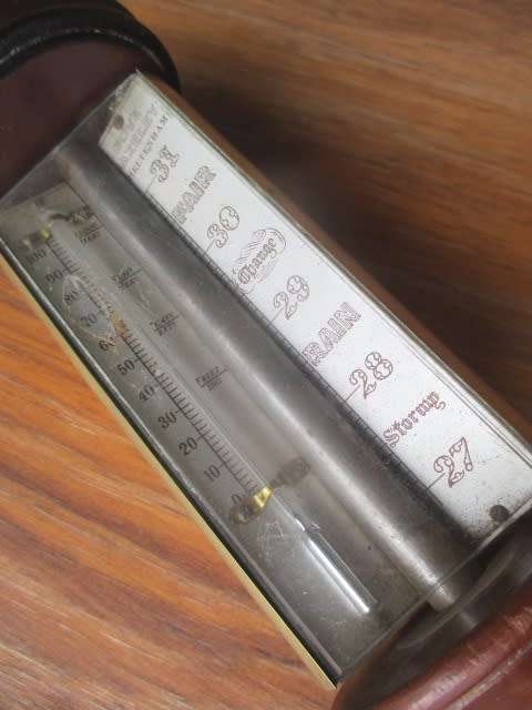 Bid For PennyBR Only - Very Rare And Collectable Limited Edition #692/2000 Vintage Dove Bazeley