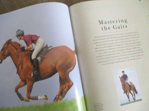 Practical Handbook Of Riding...... "The Complete Horse And Rider" By Sarah Muir & Debby Sly