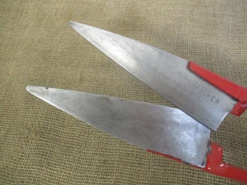 Beautiful Vintage Vicker 7 inch Sheep Shear Scissor