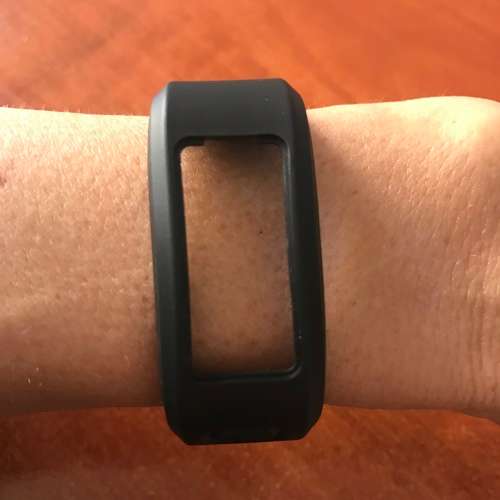 Garmin Vivofit Black Original Band Small