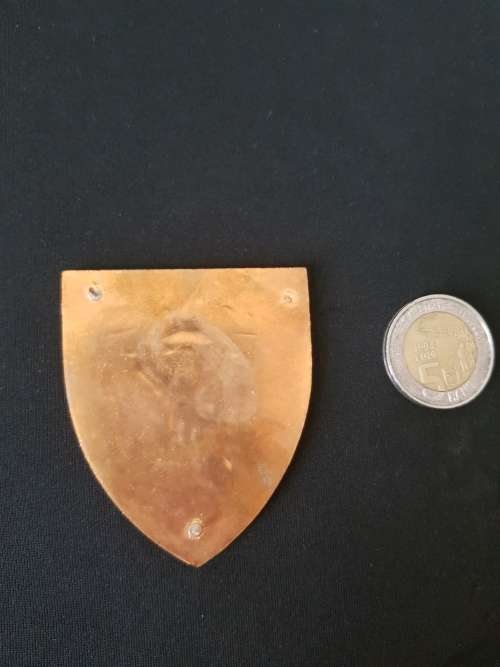 Gauteng Command Shoulder Flash Original