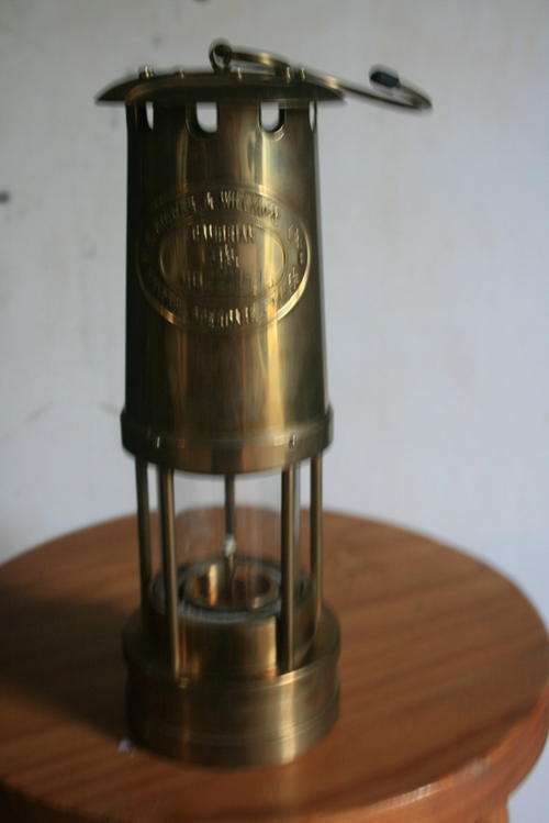 Cambrian Lamp