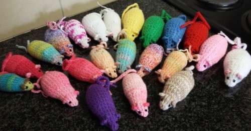 cat nip mice