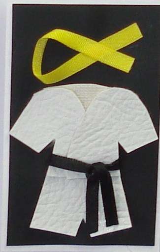 A011 Karate set