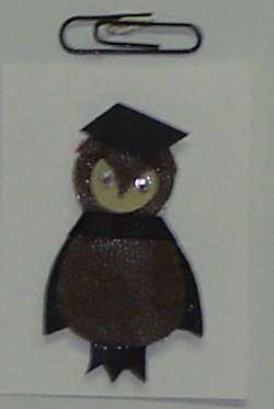 A001 Handmade graduating owl