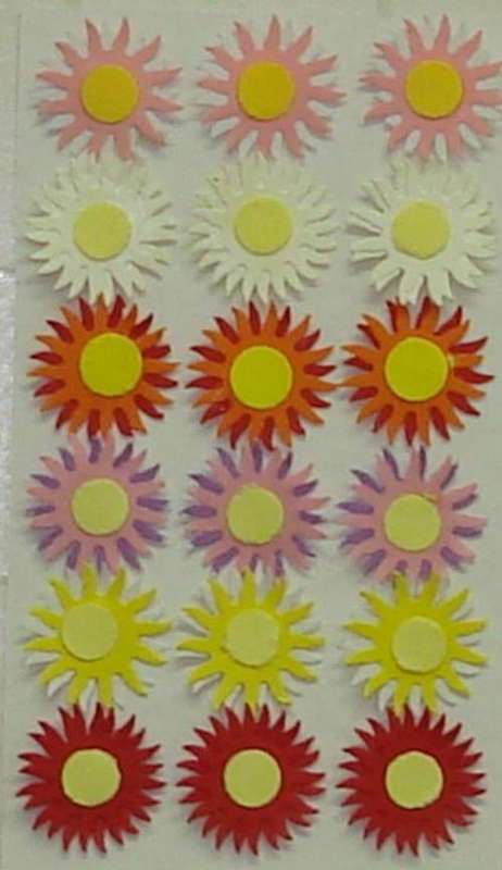 daisies mixed colours