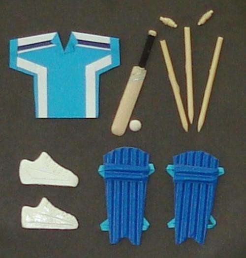 blue cricket set