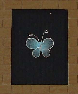 Pale blue butterfly